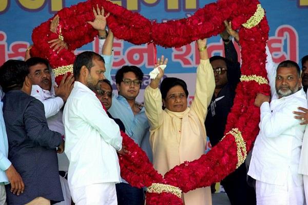 मायावती का एेलान-गुजरात में सभी सीटों पर चुनाव लड़ेगी बसपा