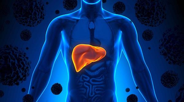 ये हैं लीवर Disease के 6 संकेत,जिन्हें कभी न करें नजर अंदाज