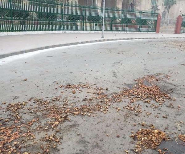 यूपी विधानभवन के बाहर से लेकर चौराहों तक बिखरे आलू, 5 पुलिसकर्मी निलंबित