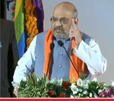 कश्मीर से धारा 370 हटाने पर बोले अमित शाह- यह सरकार का काम,मैं तो संगठन का आदमी