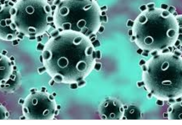 कोरोना की कवरेज में लगे चार पत्रकार कोरोना पॉजिटिव