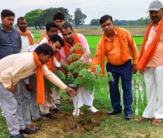 योगी का 47 वां जन्मदिवस मनाया गया तुलसी का पौधा लगाकर