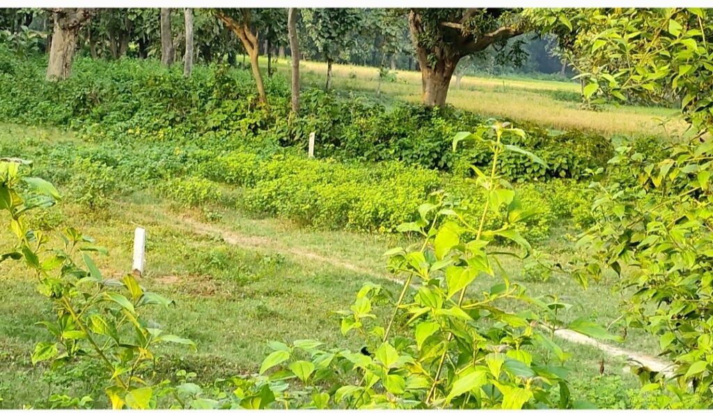 परसा मलिक: जिला पंचायत सदस्य सहित सात के खिलाफ गंभीर धाराओं में मुकदमा दर्ज