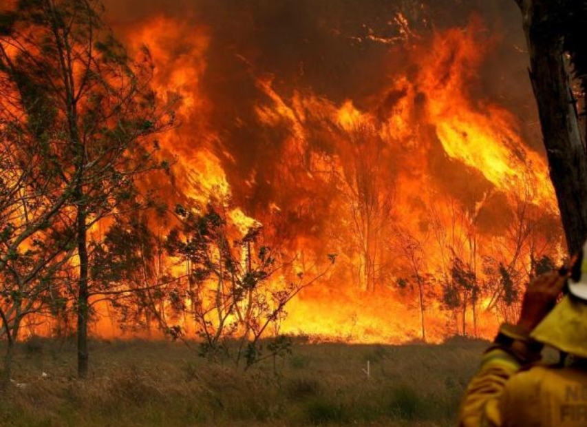 सोनौली--महुअवा गांव के सिवान में लगी आग,ग्रामीण बुझाने में जुटे, पहुंची पुलिस