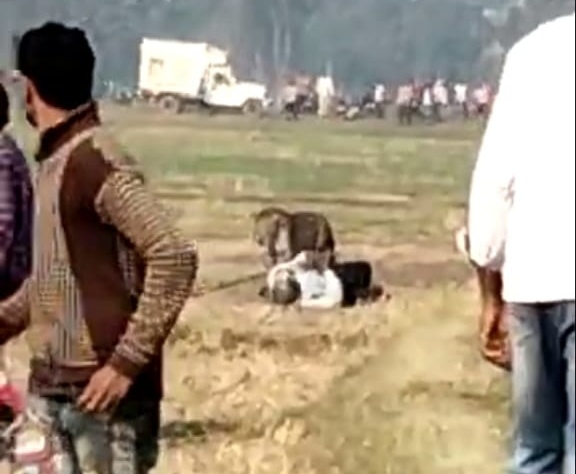 हिंसक हुआ तेंदुआ, छह लोगों को किया घायल, दहशत लाठी-डंडे से लैस ग्रामीण कर रहे पहरा