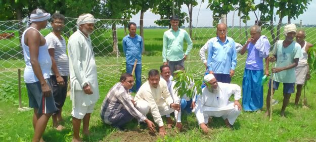 मेरी माटी मेरा देश कार्यक्रम के तहत बच्चों ने निकाली रैली, प्रमुख ने किया पौधारोपण