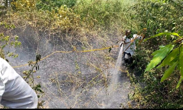 नौतनवा नवीन मंडी स्थल में लगी आग, ईओ स्वयं बुझाते दिखे आग