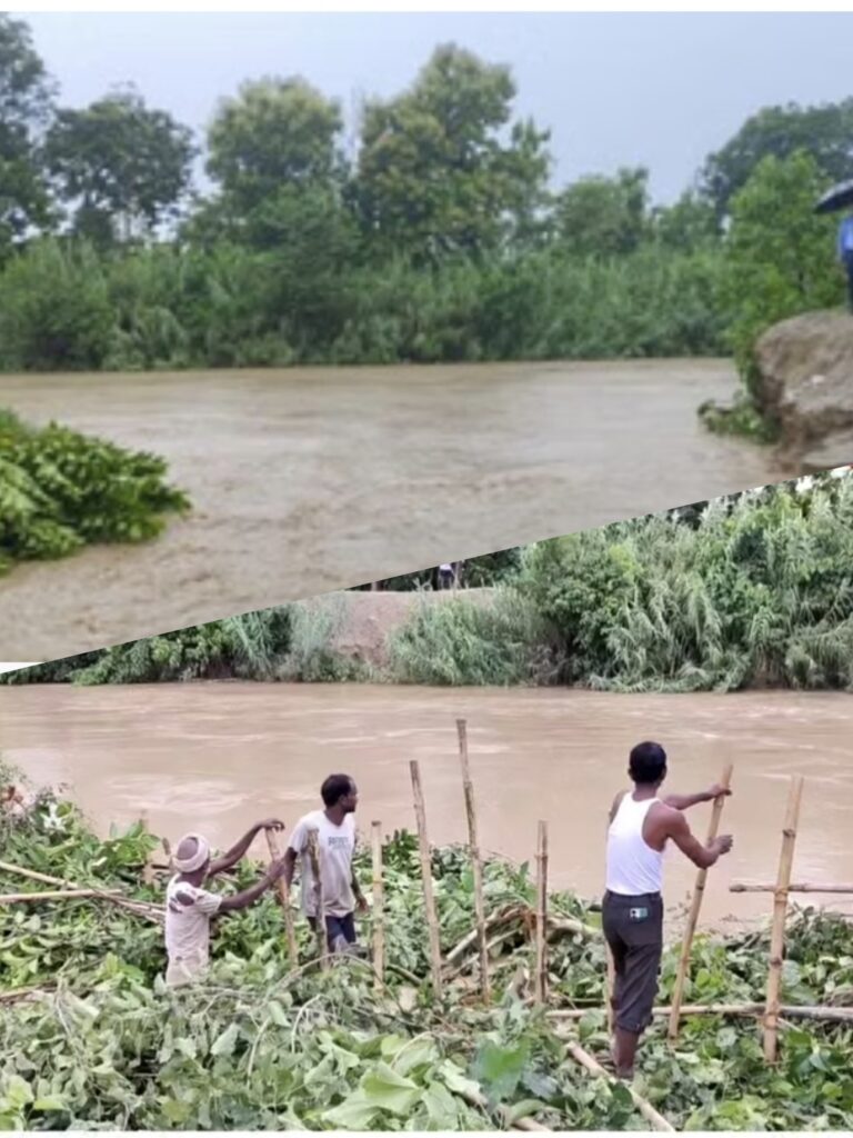 महाव नाला में आई बाढ़ से टूटा तटबंध, 10 एकड़ में धान की फसल जलमग्न