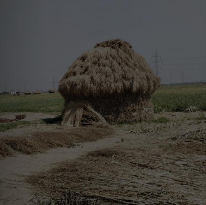 पुआल चोरी का विरोध करने पर मनबढ़ों ने 80 वर्षीय दलित बुजुर्ग को पीटा, पुलिस कार्रवाई से इंकार