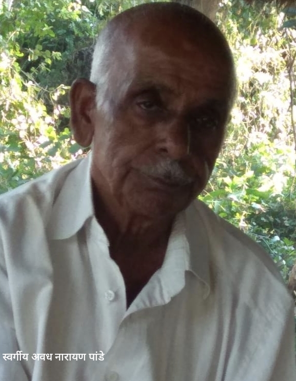 नौतनवा क्षेत्र के वरिष्ठ भाजपा नेता प्रदीप पांडे के बड़े पिता का निधन, क्षेत्र में शोक की लहर