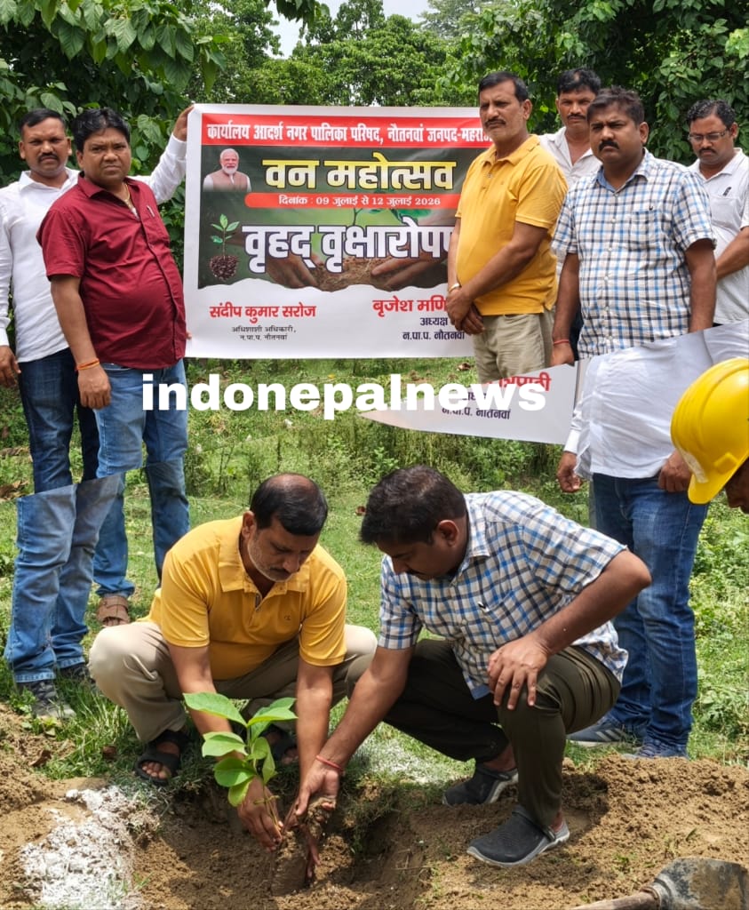 वन महोत्सव के तहत नौतनवा में वृहद पौधारोपण, हरियाली बढ़ाने का लिया संकल्प